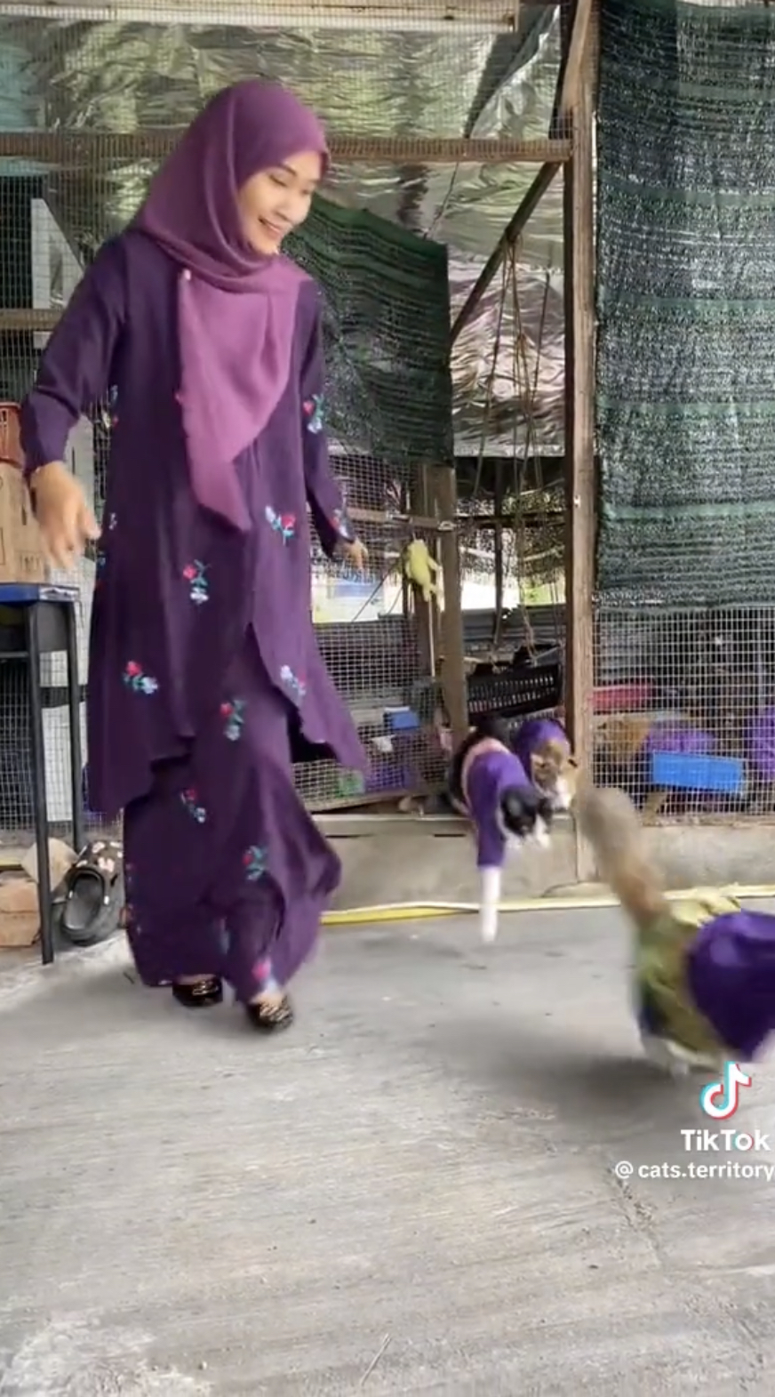 Penang woman makes matching raya outfits for her 61 cats and it's guaranteed to make you melt 9