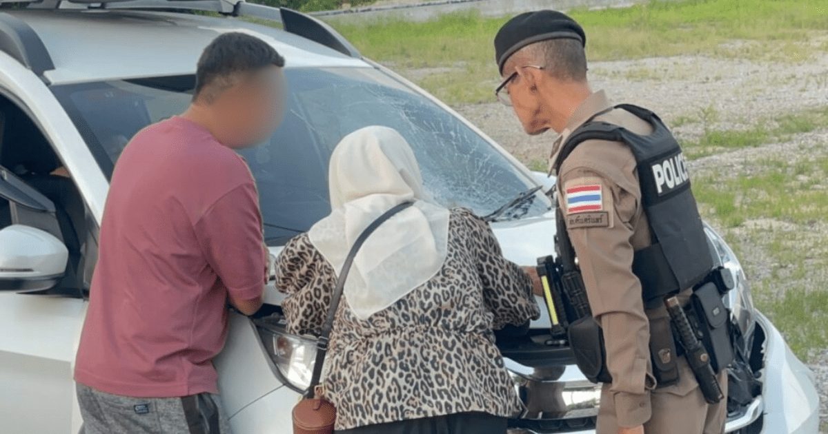 Police investigating with the driver