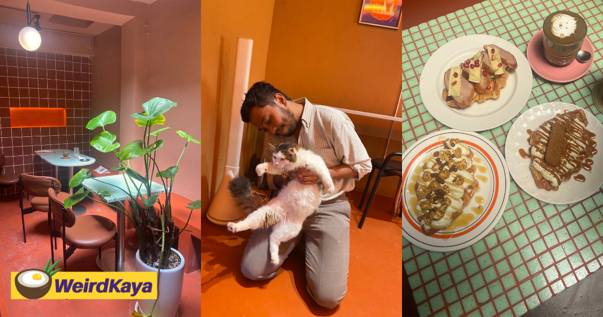 I Went To The Instagrammable Cat Cafe In Cheras With No Entrance Fee & Croffles At RM15 Only. Here's My Review