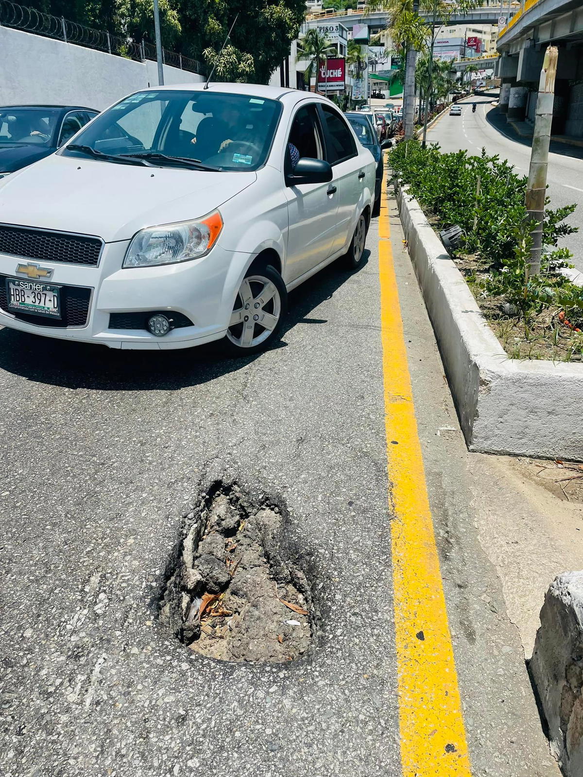 Mexican politician fills potholes with coconut husks to protest government inaction | weirdkaya