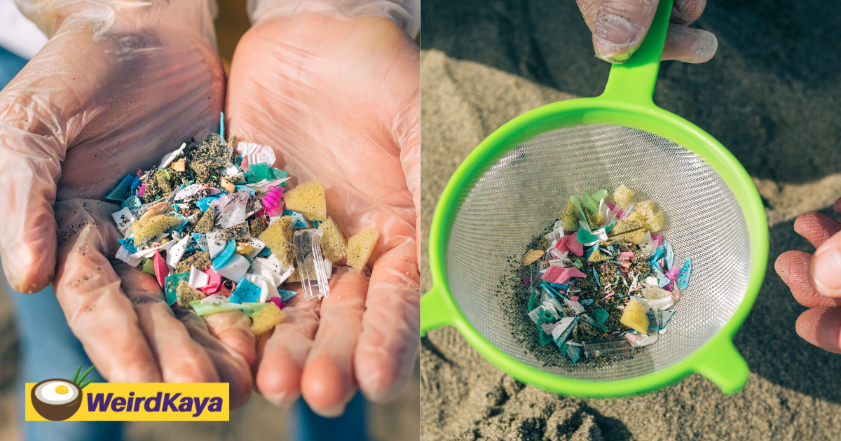 Preserving our mother earth, understanding and tackling atmospheric microplastics | weirdkaya