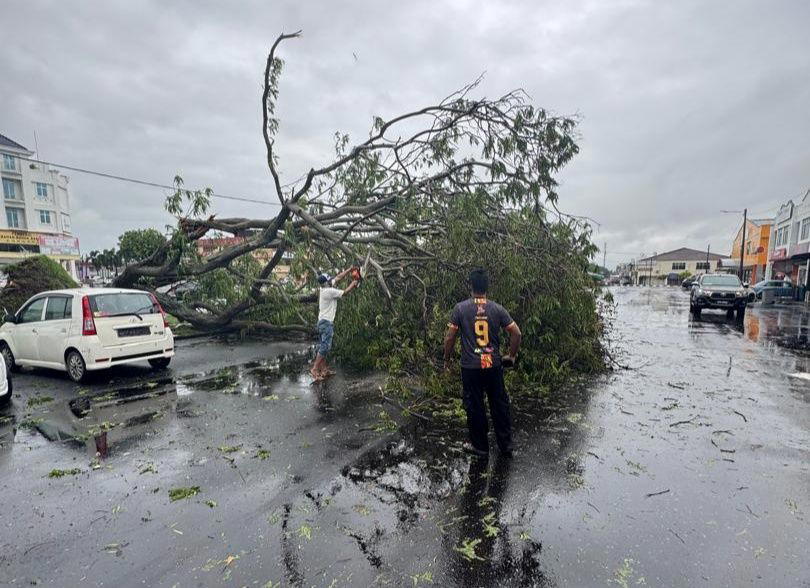 Protectdickson tree fallen due to senyar