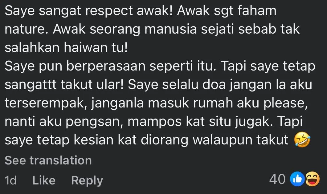 python housemate comment1