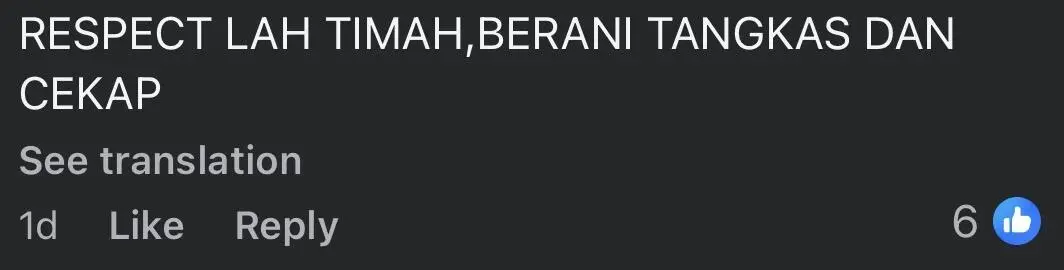 python housemate comment2