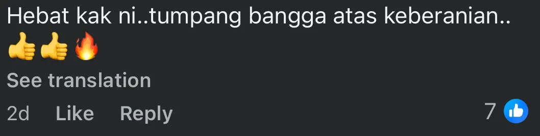 python housemate comment3