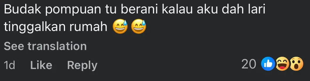 python housemate comment4