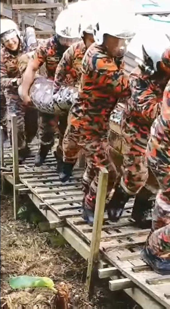 Johor firefighters carry 80kg python