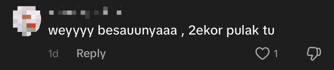 M'sian Firefighters Find Not 1, But 2 Massive Pythons Hiding Within Ceiling At Motorbike Shop comment 1