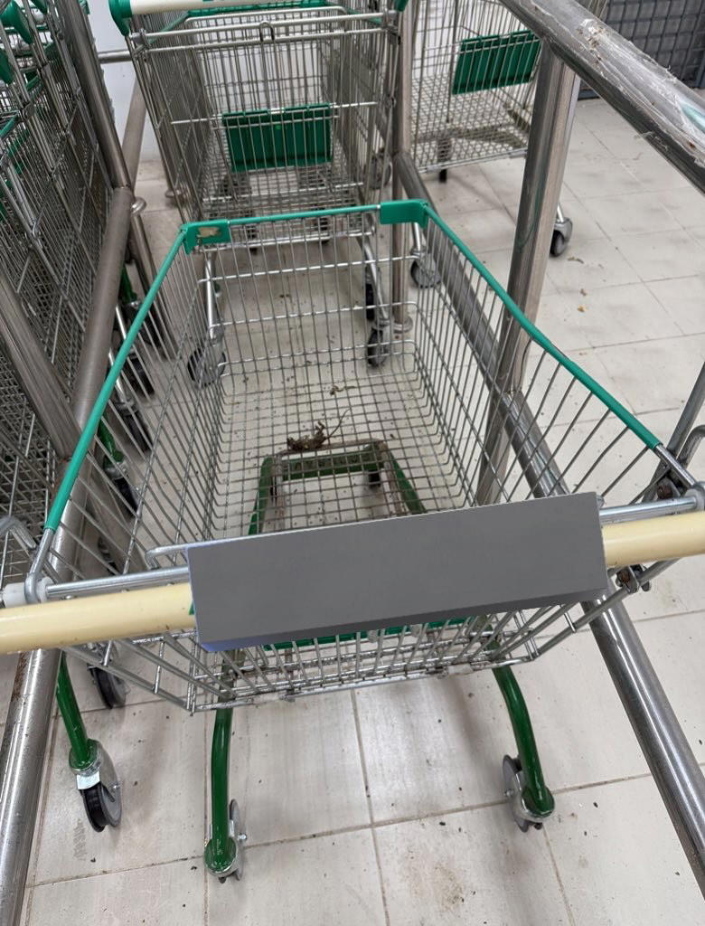 Rat carcass inside trolley