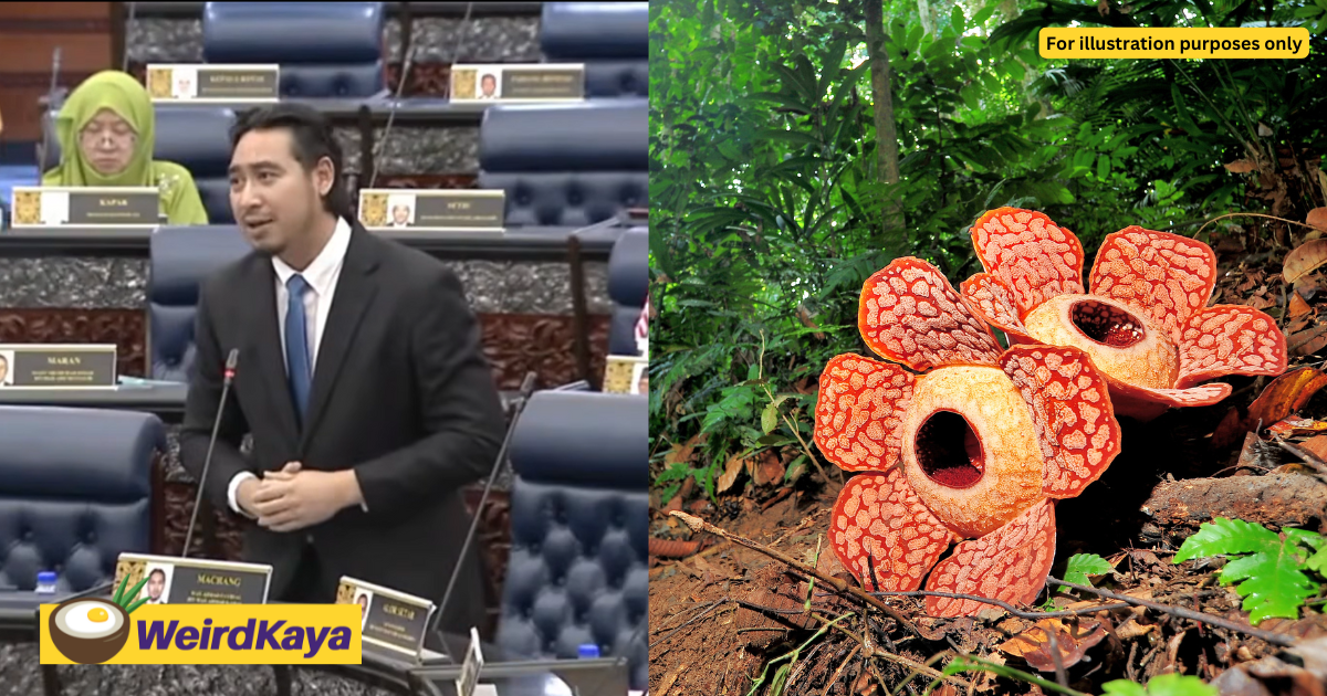 M'sian MP Suggests Renaming Rafflesia Flower, Says It Was Named After A Man 'Without Morals Or Ethics'