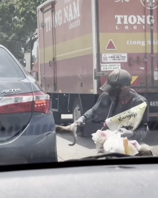 Roadside hawker save cat from car (3)