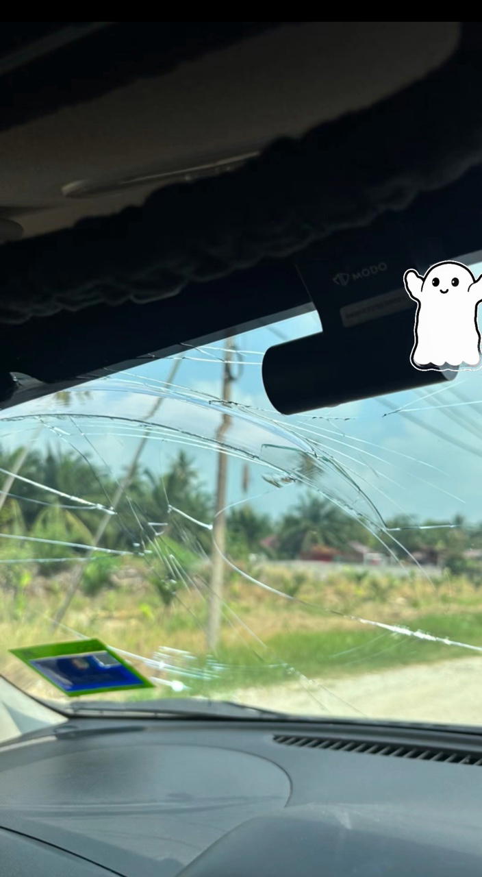 rooster flies into windshield crack