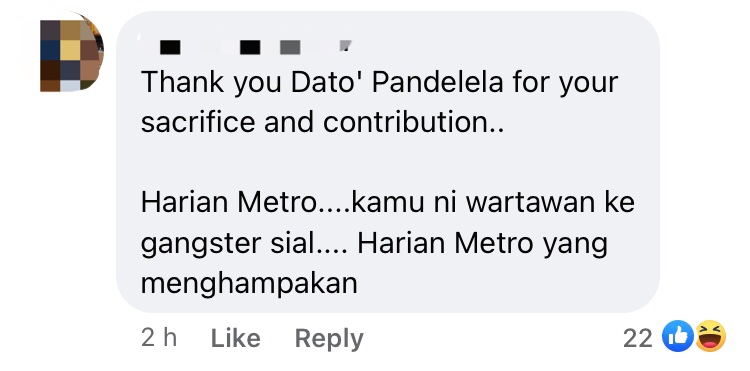 Harian metro calls pandelela rinong 'disappointing' & netizens are not having it comment 1