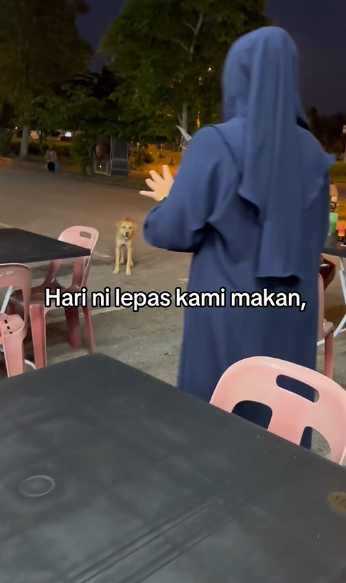 M'sian woman praised for feeding fried chicken to hungry stray dog