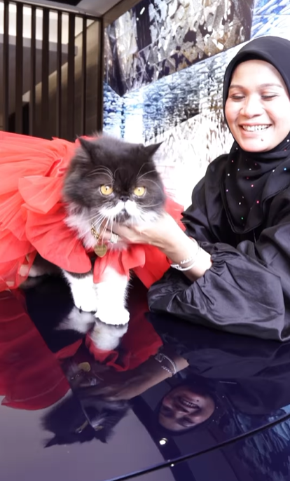 Haliza maysuri gifts pet cat with bmw i7
