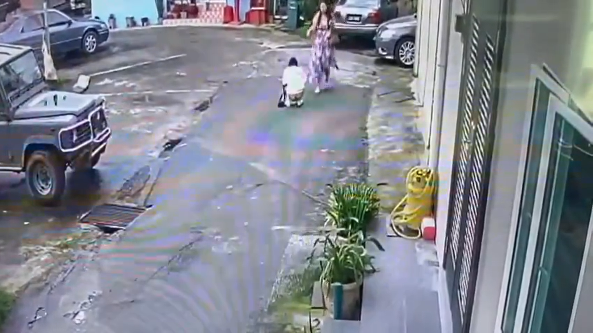 Foreign woman poops in the middle of the road in cameron highlands