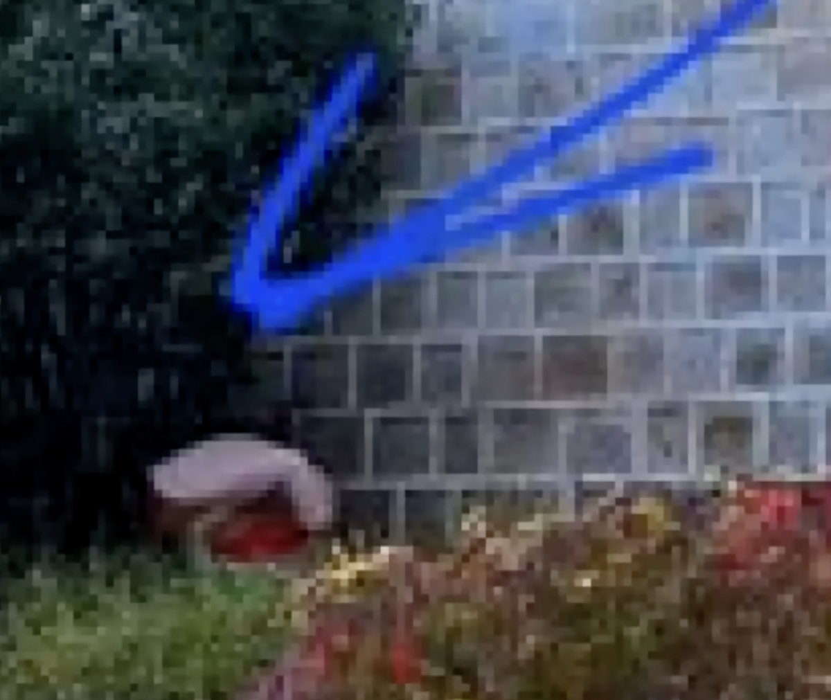 Auntie Pooping at Gyeongbokgung