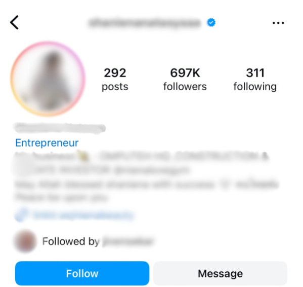 Screenshot of an instagram profile