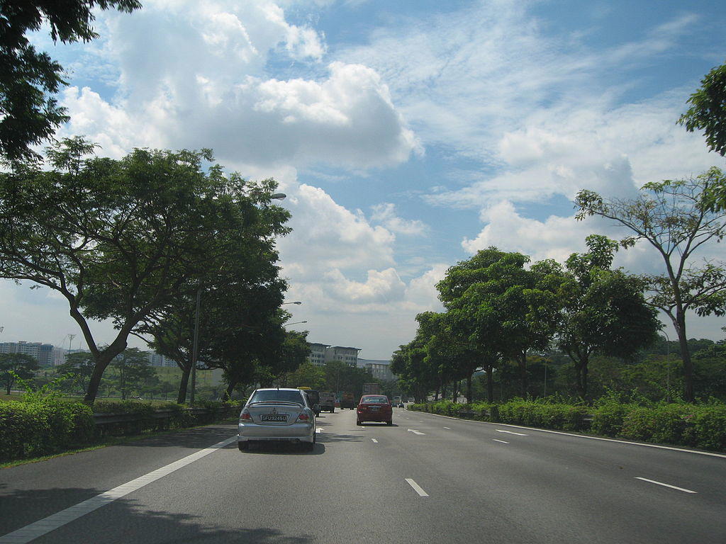 Seletar Expressway (SLE)