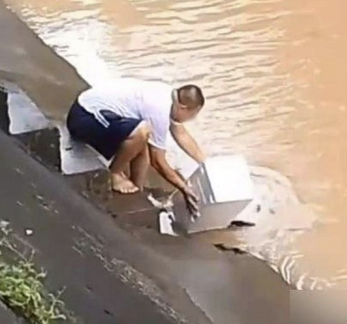 Sg man buys more than 30 fishes worth rm1. 3k from supermarket & releases them into the river 1