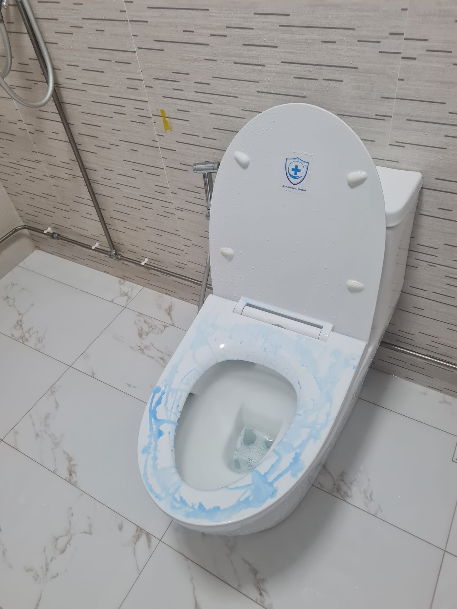 Sg woman's toilet seat turns blue after grandma soaked it overnight with stain remover | weirdkaya