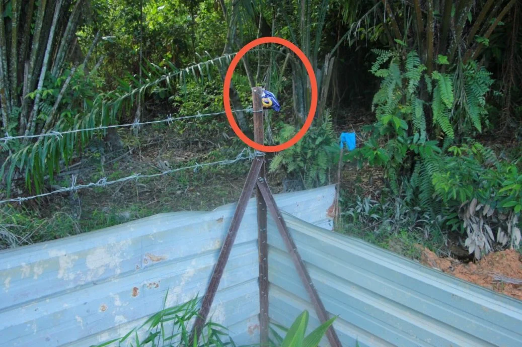 Snack with rat poison hanging on the fence