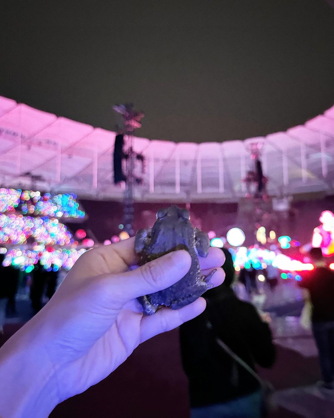 Joey holding a frog that she found on the ground inside the national stadium.