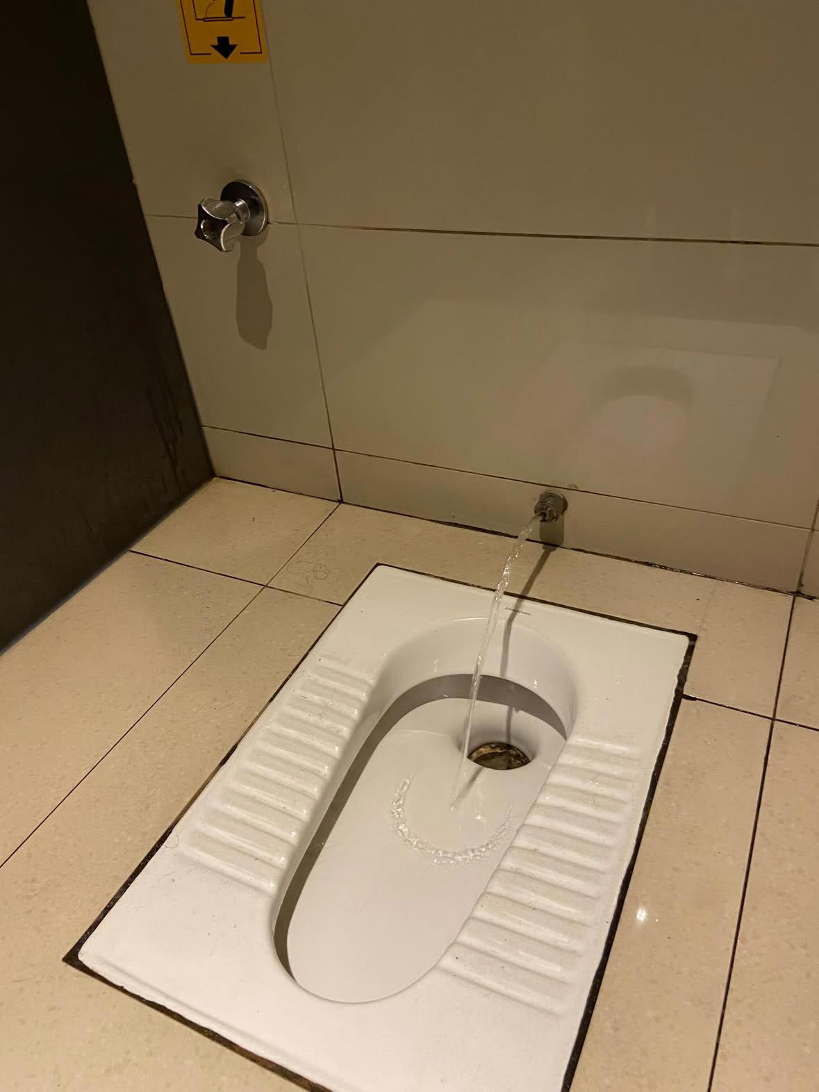 squat toilet