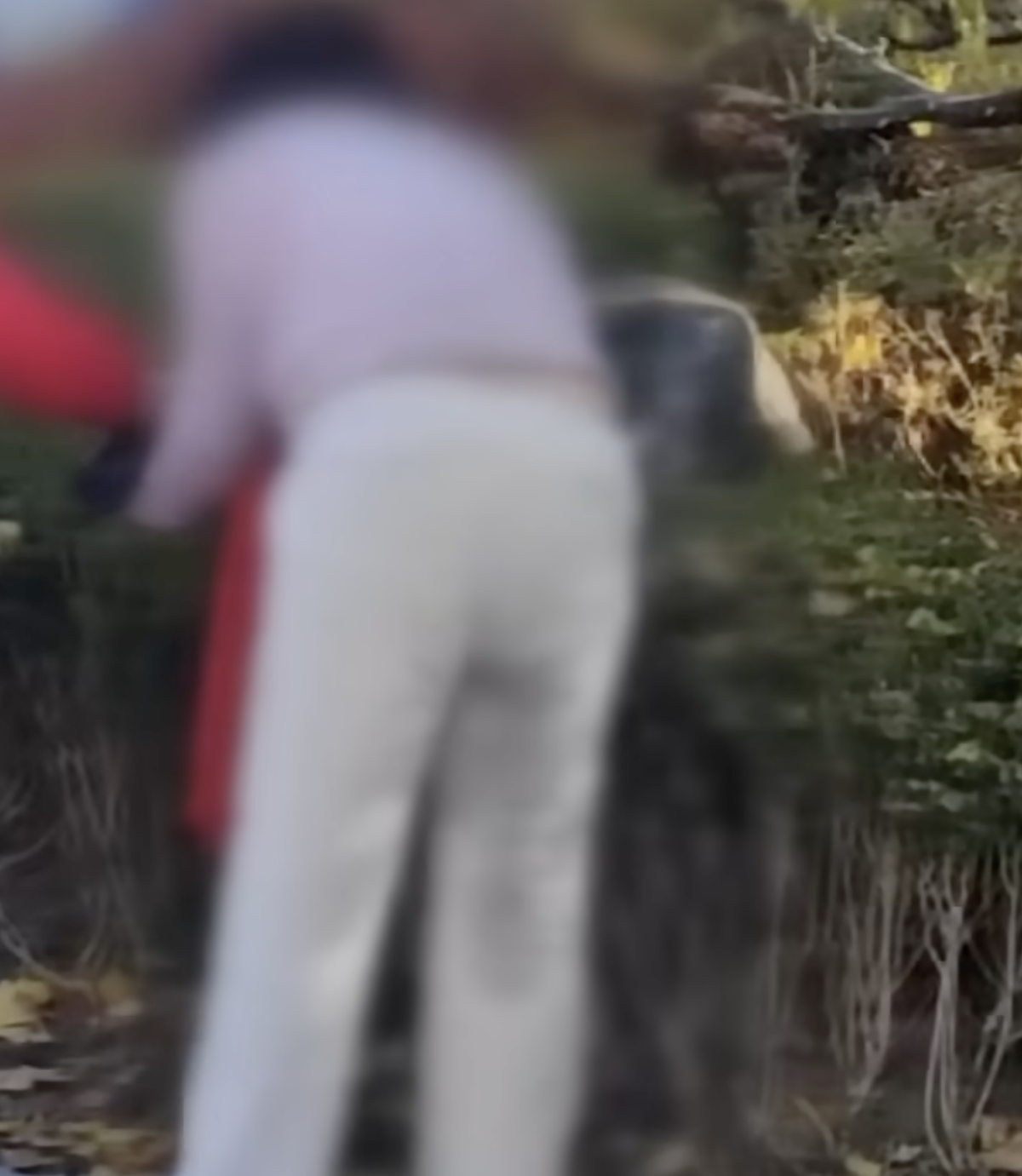 stain on pants of China auntie pooping at Gyeongbokgung