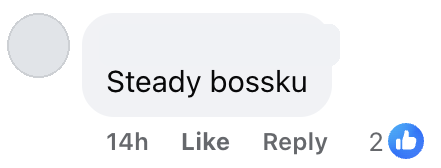 steady bossku 1