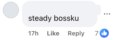 steady bossku 2