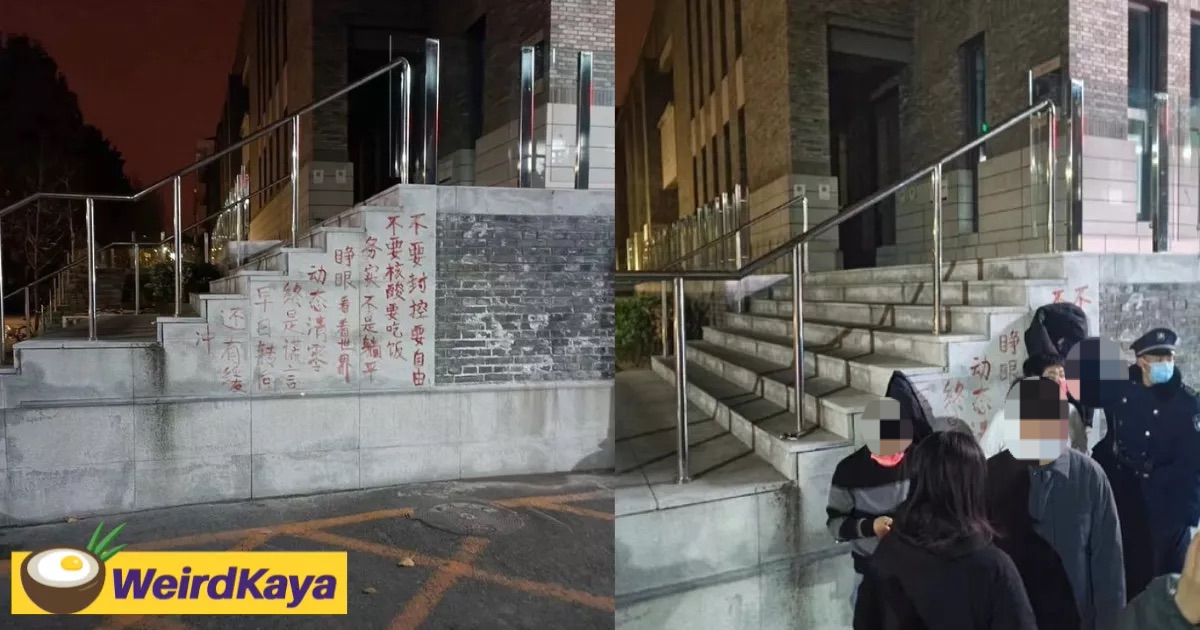 Students draw graffiti on wall of china’s top uni to protest govt lockdown measures  | weirdkaya
