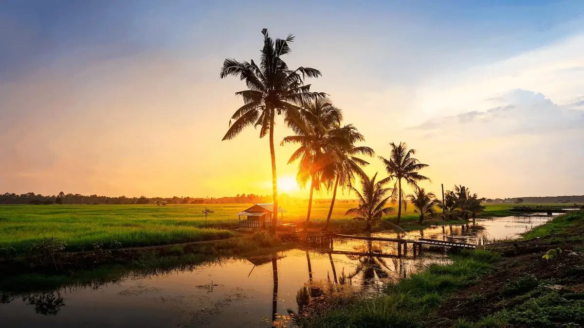 Sunset at a Malaysian kampung