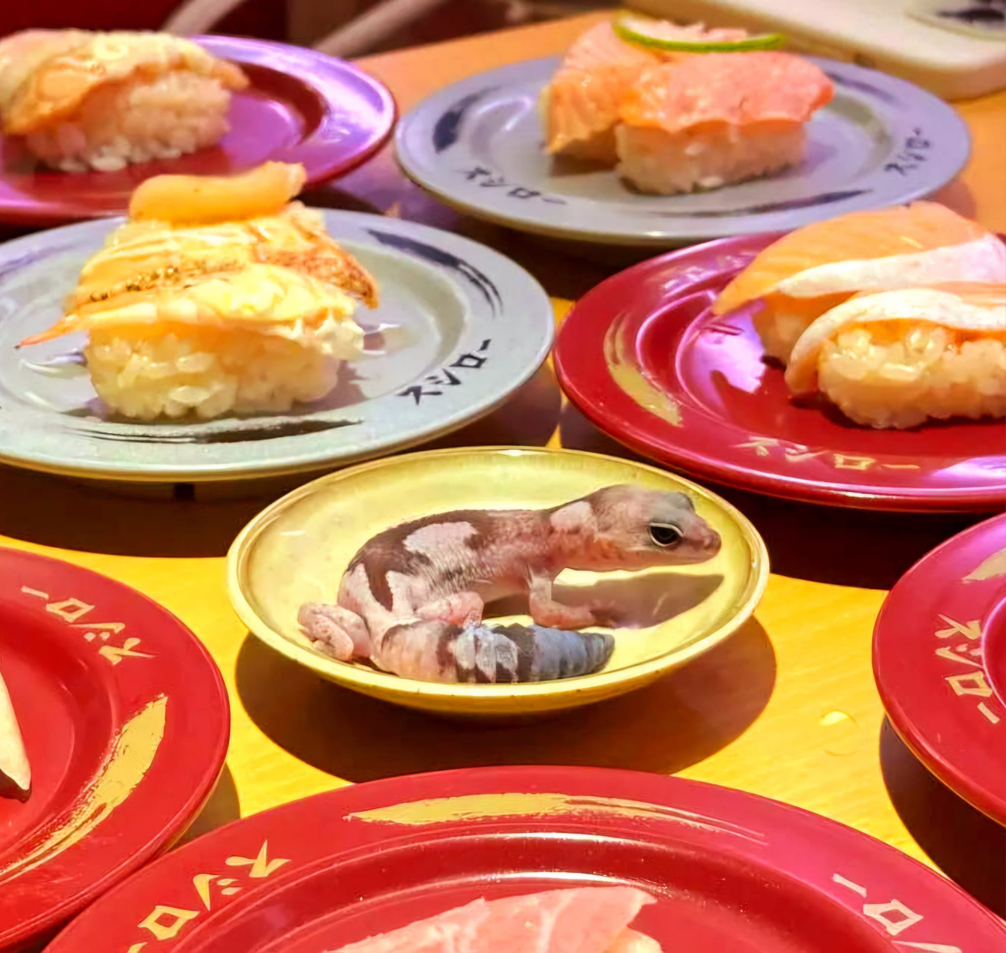 Taiwan student puts pet gecko on sauce plate for photo, restaurant considers legal action | weirdkaya