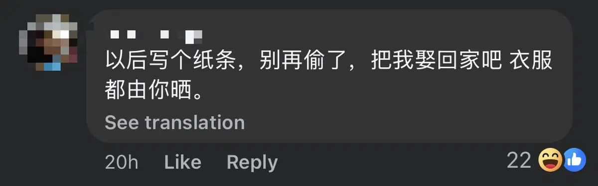 Thief 'Shops' For Underwear Of His Choice From Johor Home, Leaves After Stuffing Them Into His Pants comment 2