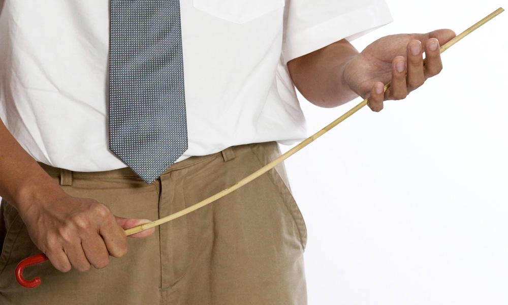 Teacher holding cane