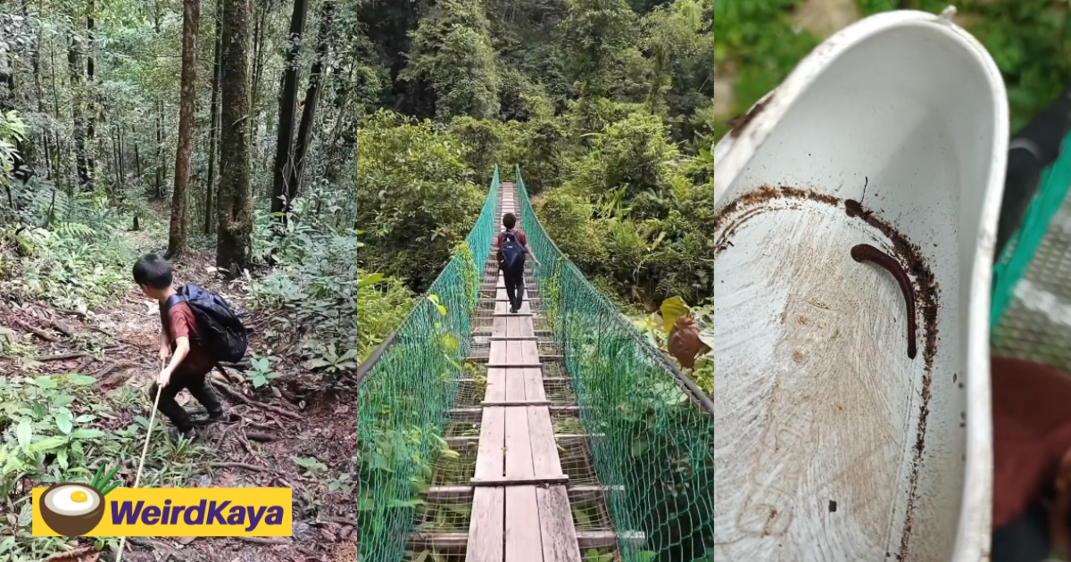 Teacher spends 4 hours trekking across mountains to report to his assigned school in sabah | weirdkaya