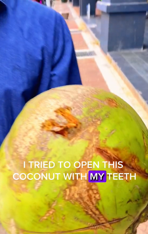 Mat salleh tries to open coconut with his teeth in m'sia but ends up cracking it