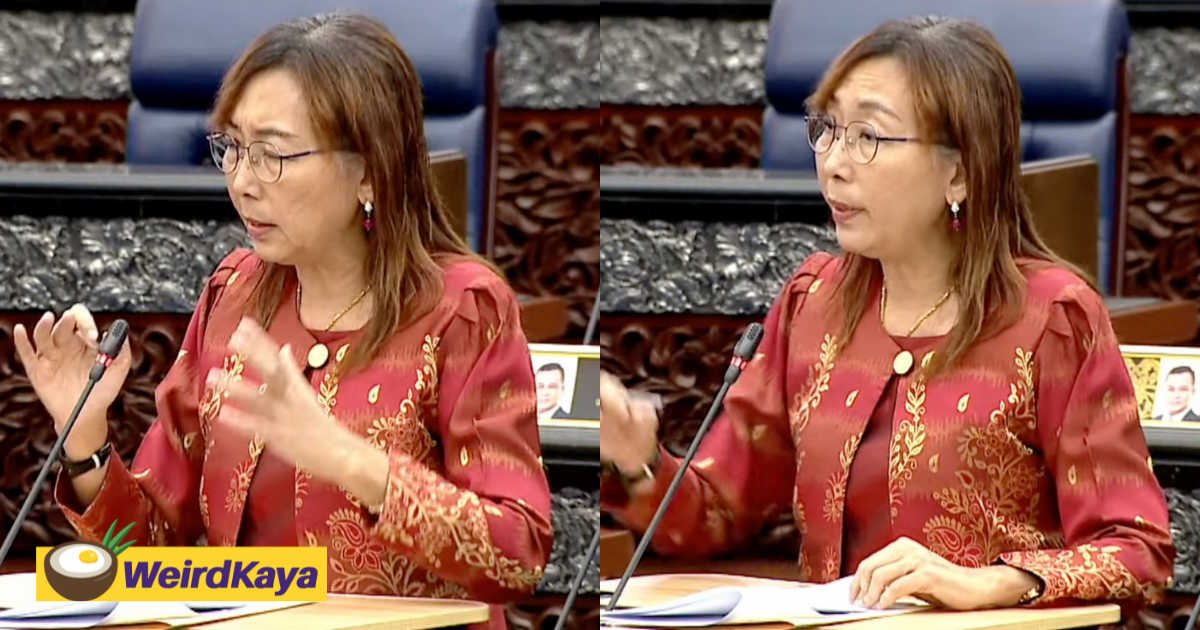 Teresa kok jokingly suggests m'sian gov't to promote 'flood travel package' as kl floods every year | weirdkaya