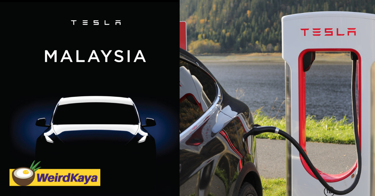 Tesla's set to officially launch in malaysia on 20 july | weirdkaya