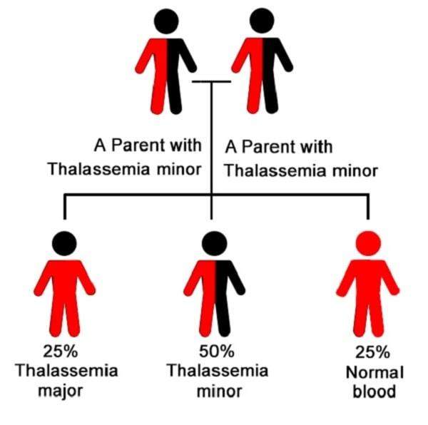 Children with likelihood of inheriting thalassemia