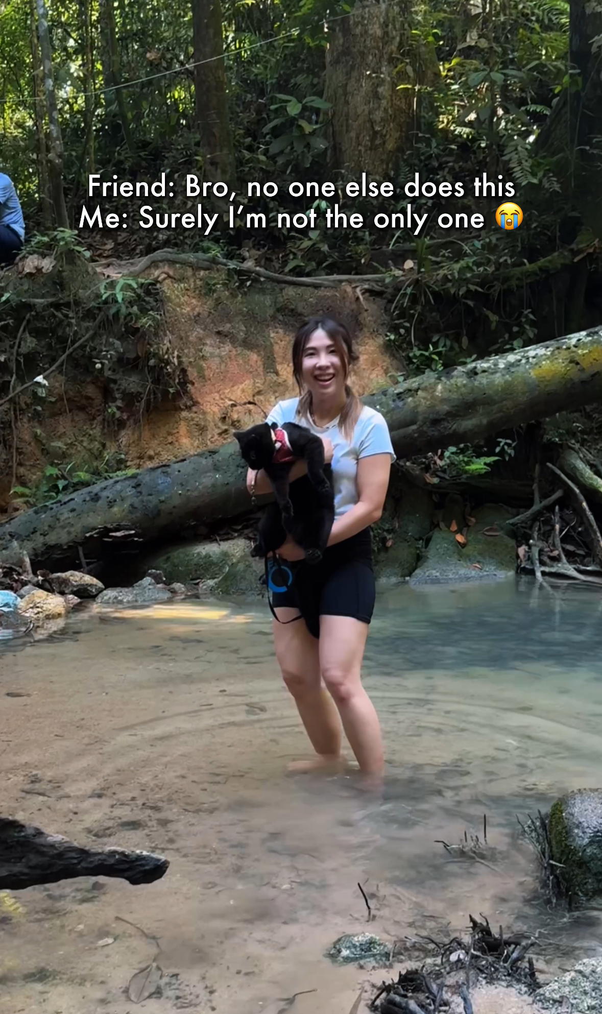 This Adventure-Loving Cat Hikes Better Than Most Humans, Leaving Us Asking Why Our Cats “Only Want Aircond Room”