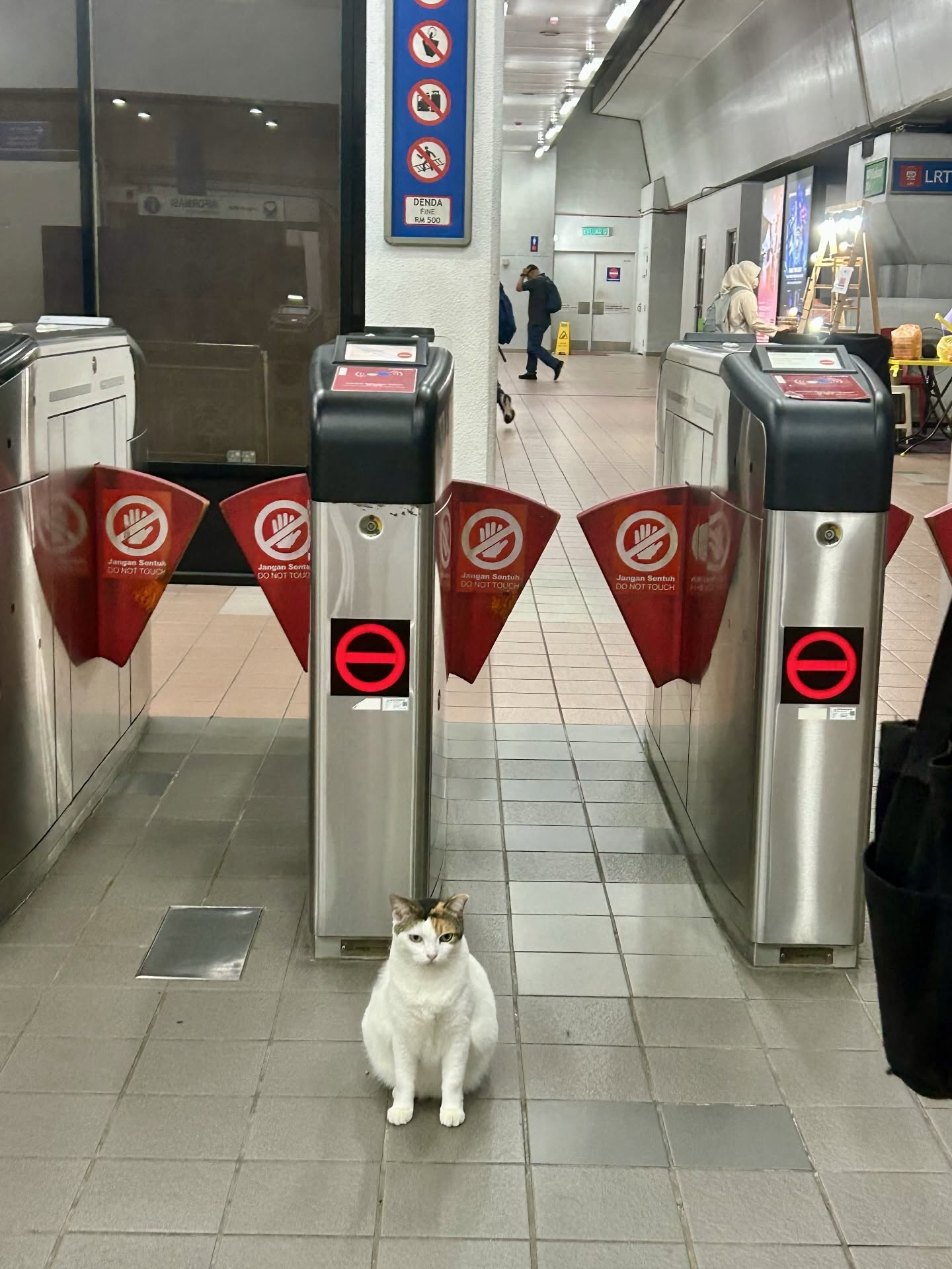 this-chubby-cat-working-at-lrt-wangsa-maju-has-msians-obsessed-with-its-daily-routine-1