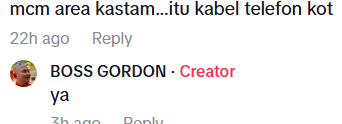 tiktok netizen comment