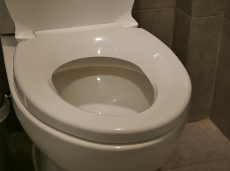 toilet bowl