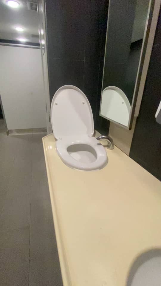 Toliet bowl cover placed on top of a sink in a washroom