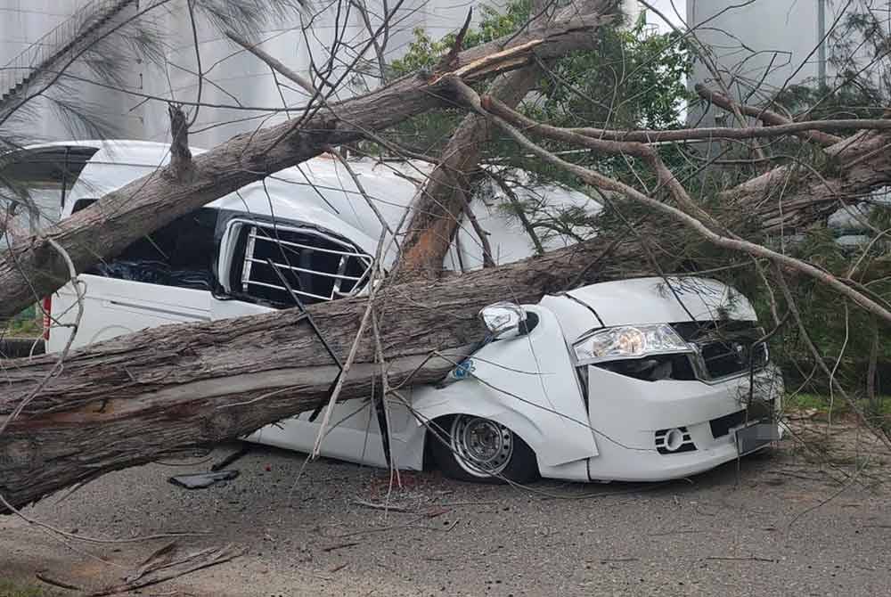 Tree crushes police officer in sabah