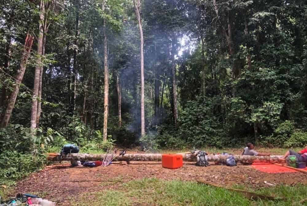 54yo m'sian man crushed by tree while fishing with friends | weirdkaya