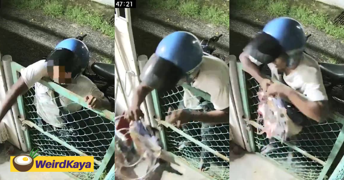Viral video shows man climbing gate & stealing women's underwears in penang | weirdkaya