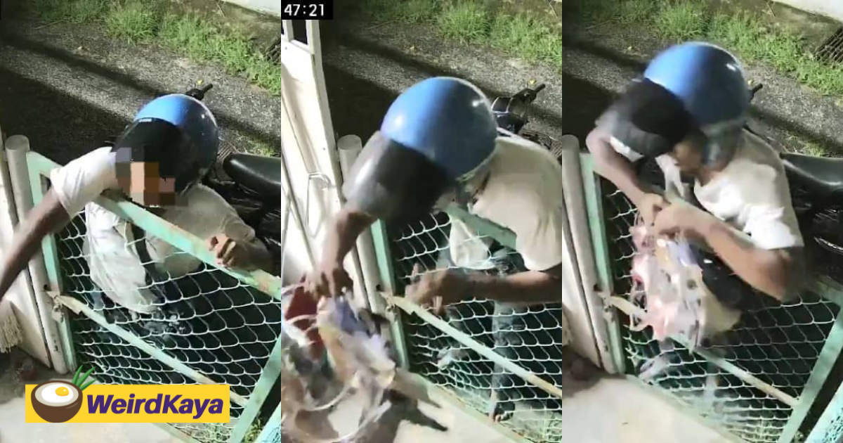 Viral Video Shows Man Climbing Gate & Stealing Women's Underwears In Penang